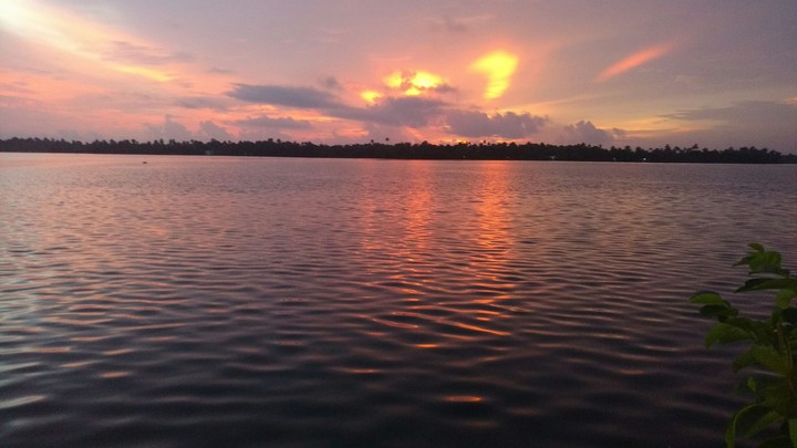 nature.