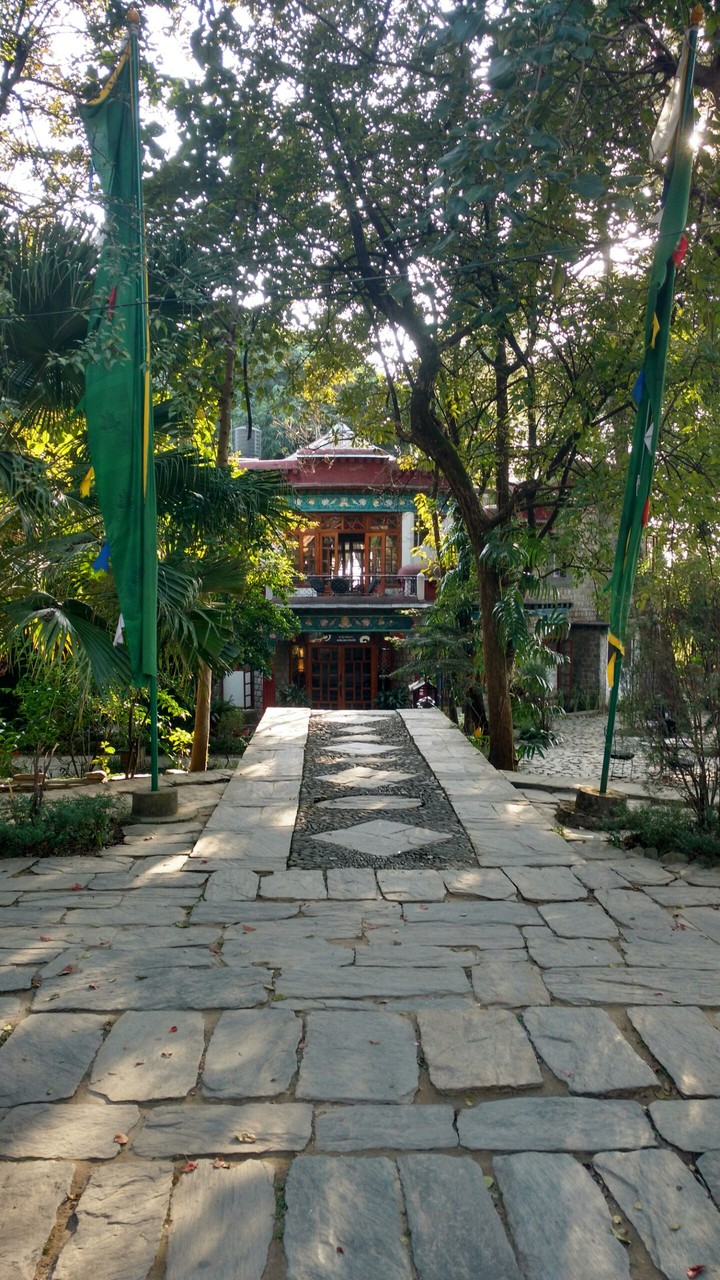 Knowing Tibet