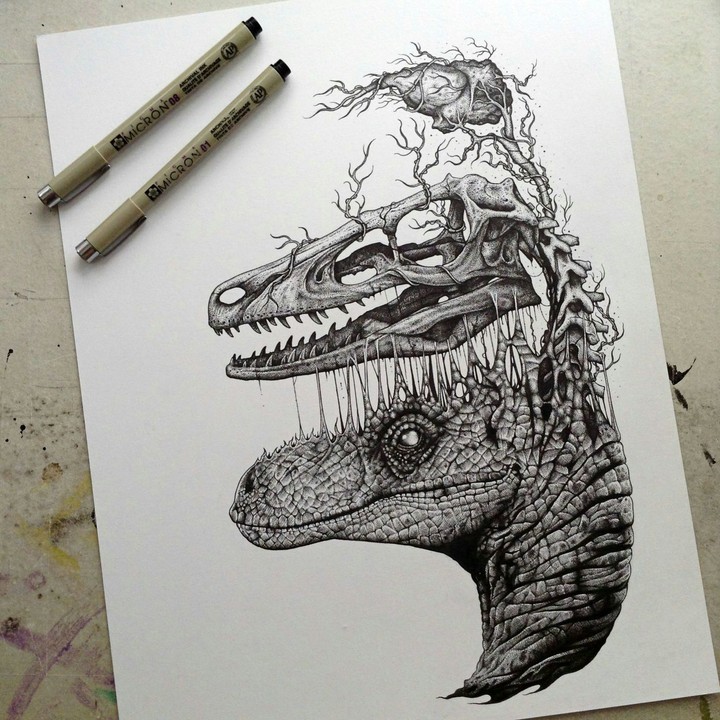 drawing