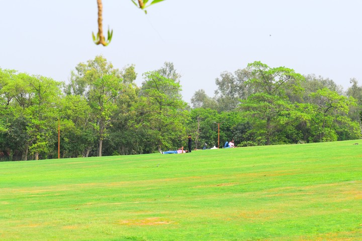 Park