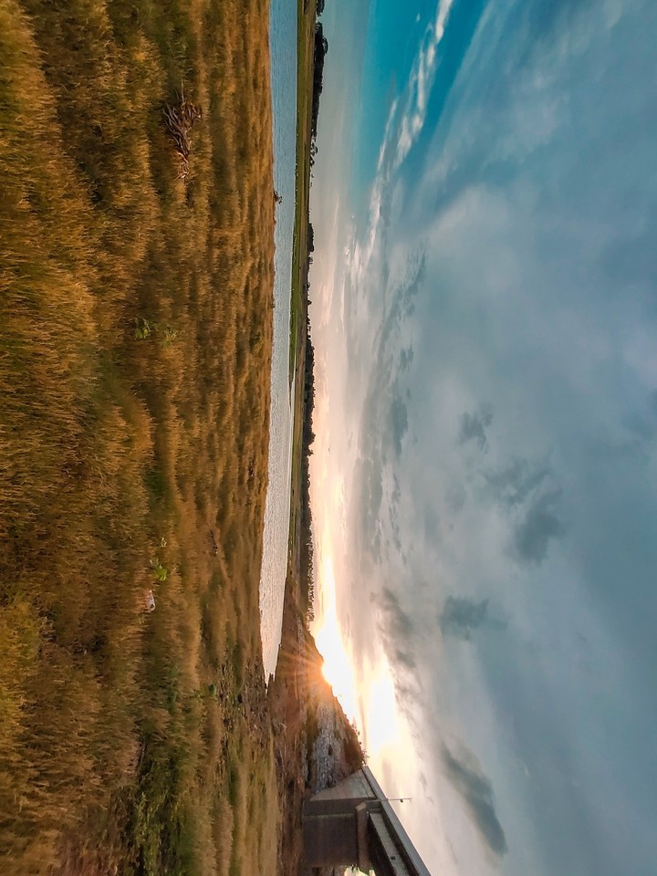 nature