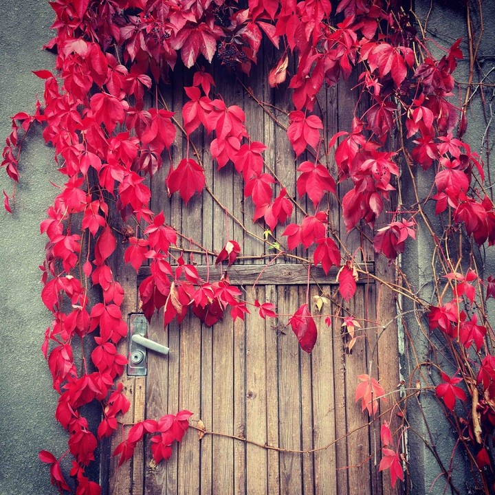 Door into autumn