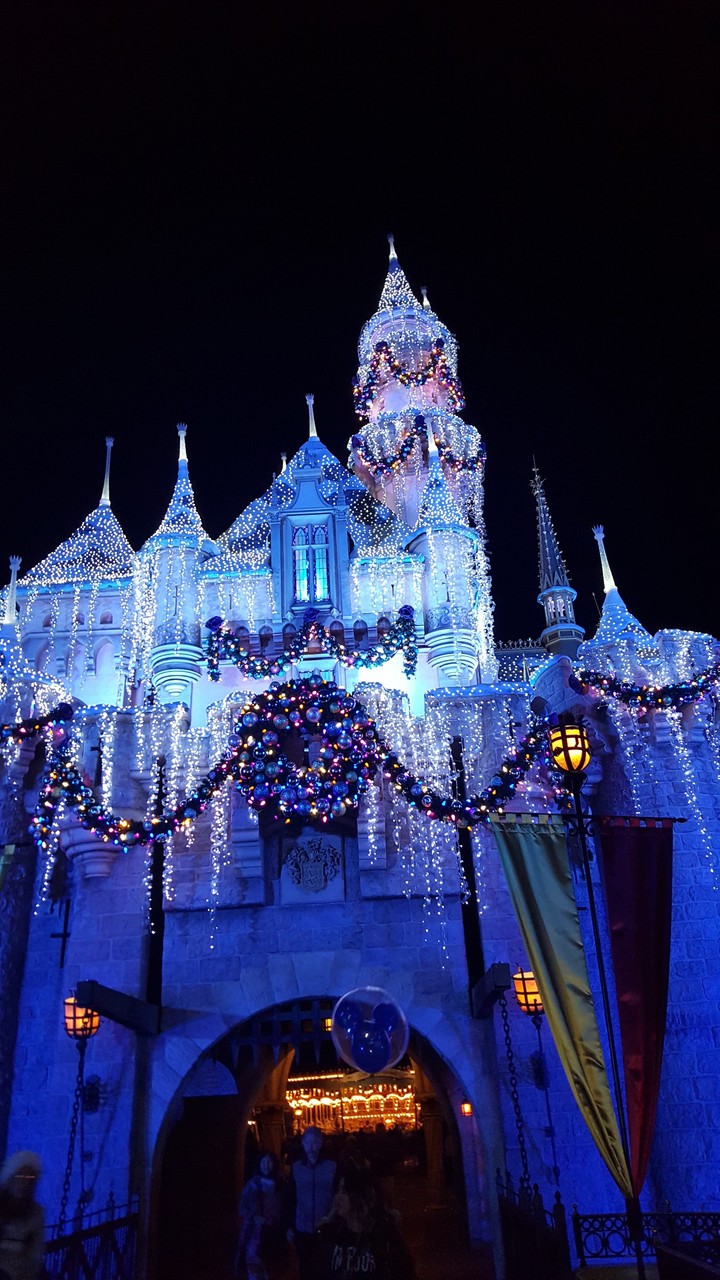 Disney land
