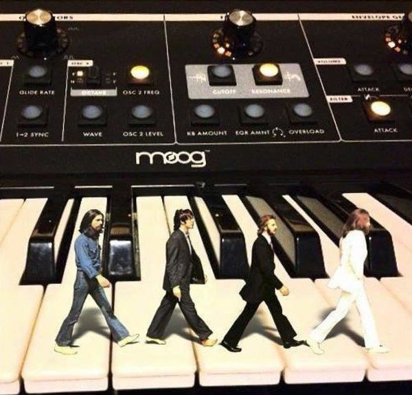 the Beatles