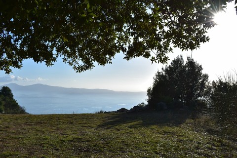 vastità