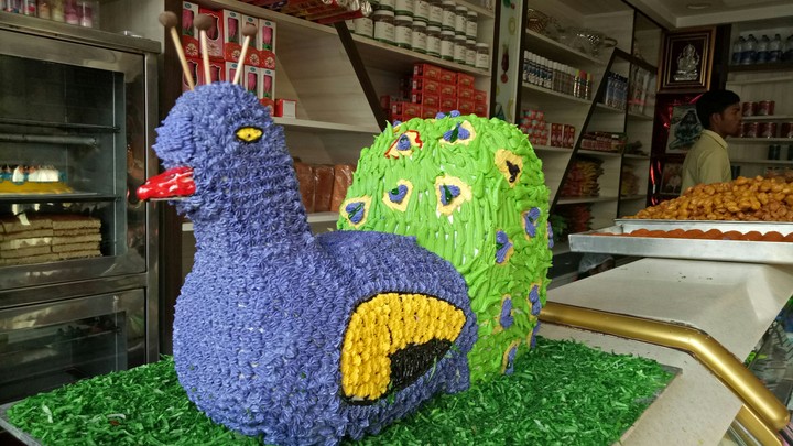 peacock