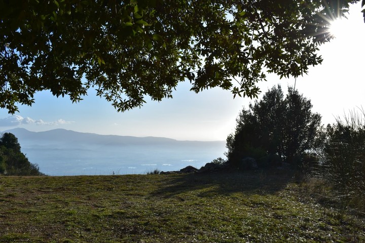 vastità
