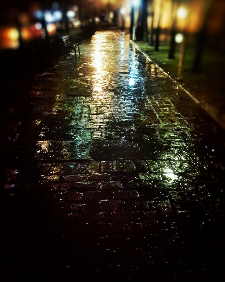 Rainy Night 