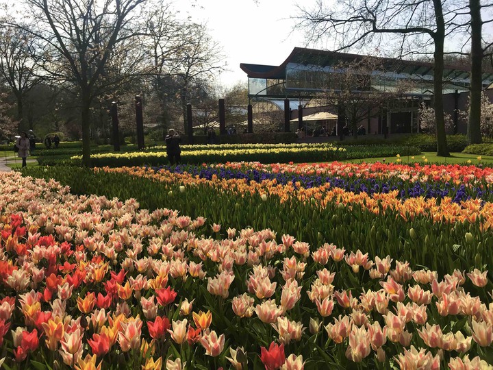 At the Keukenhof Park, 2019