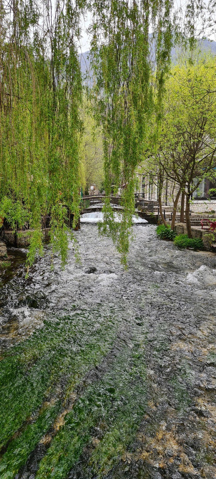 travnik