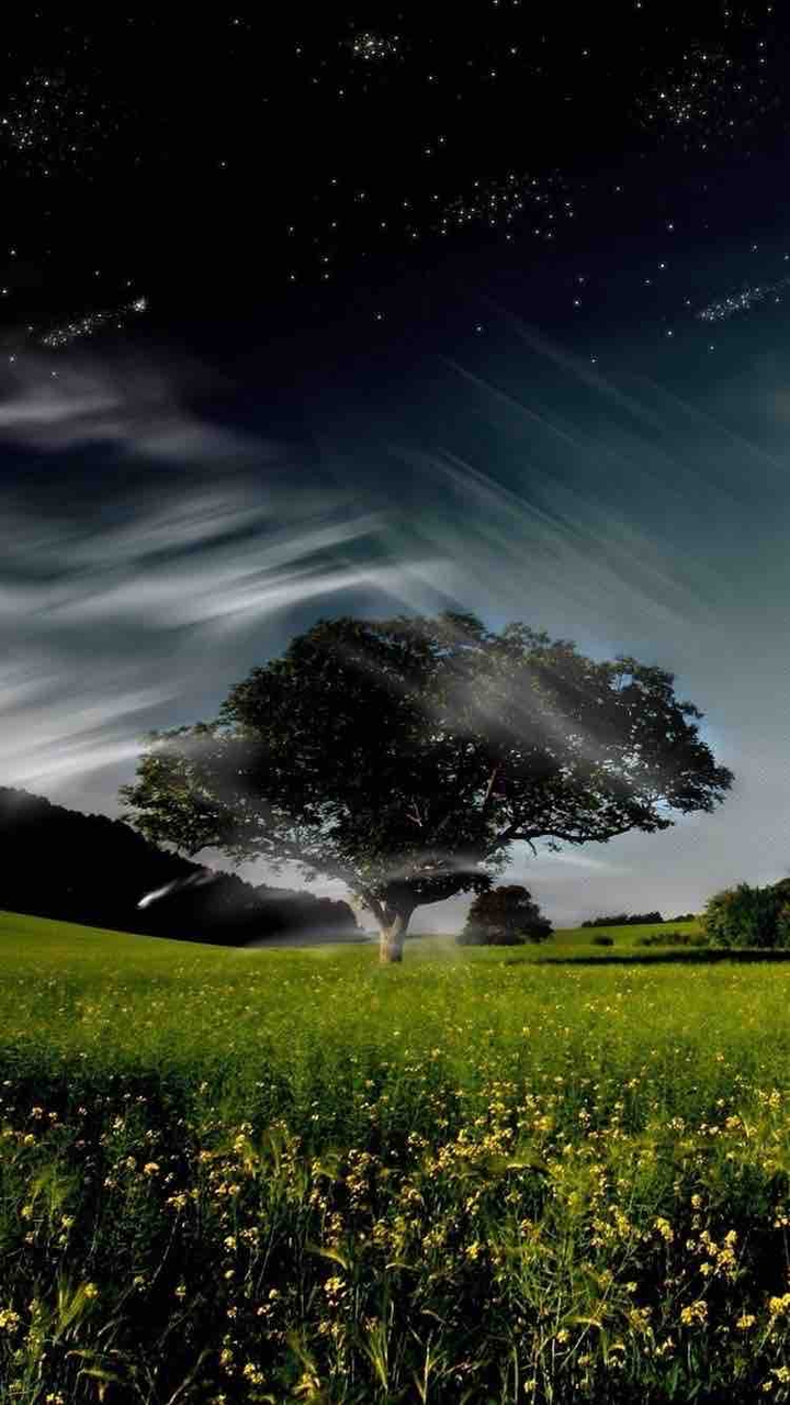 nature