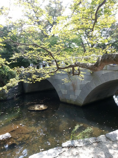 돌다리