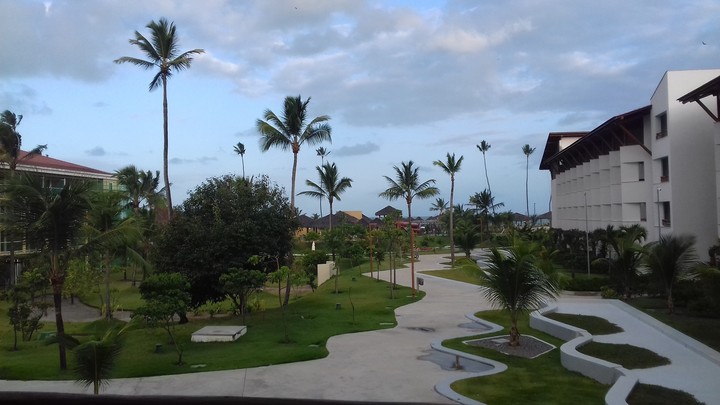 Jardim