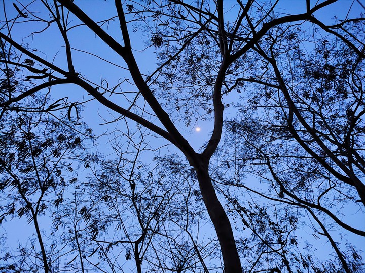 Moon in sky
