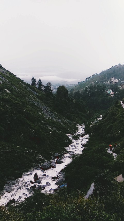 Nature