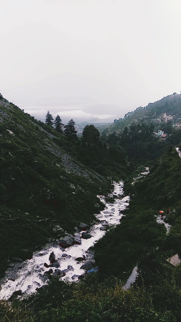 Nature
