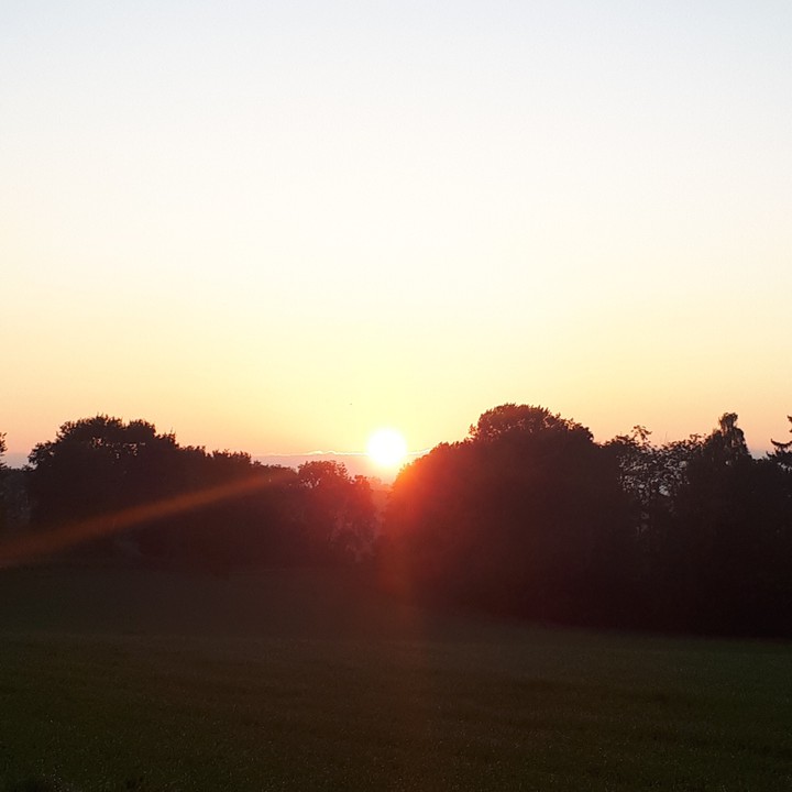 Aube