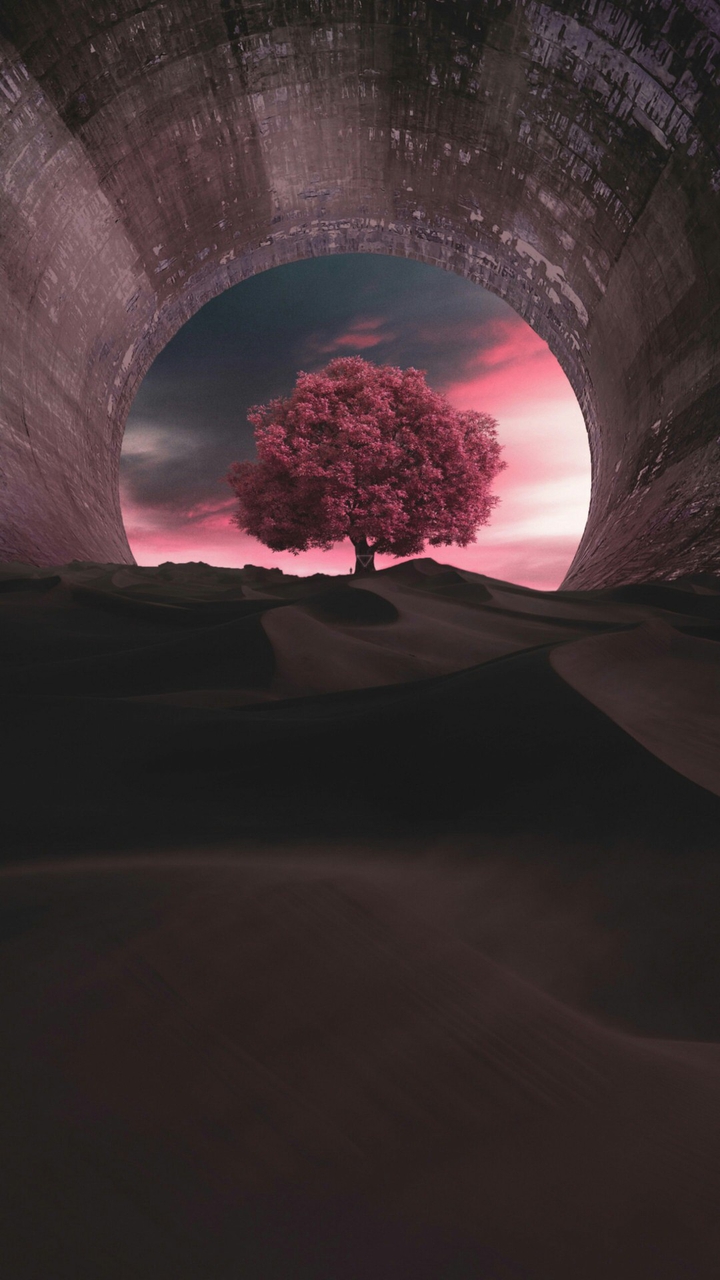 trees