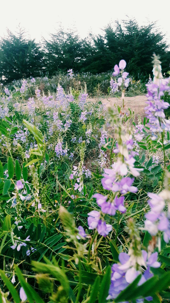 Nature colors