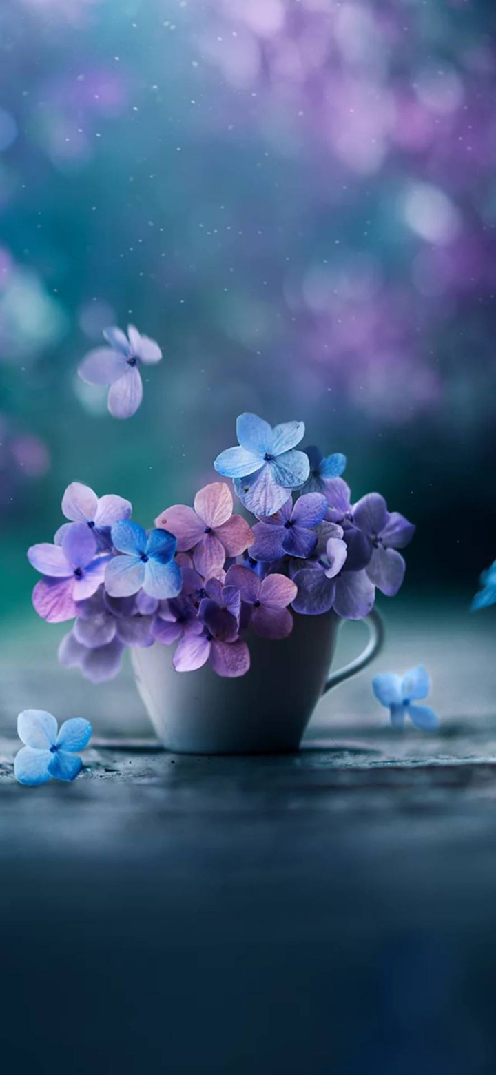 these flowers ?