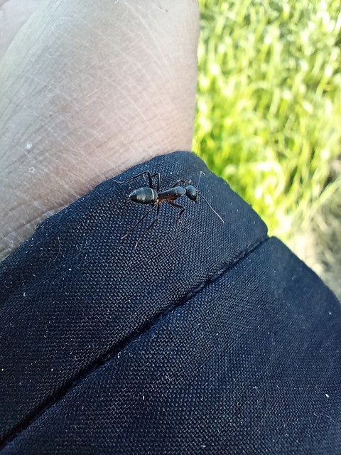 leg, hand壁紙