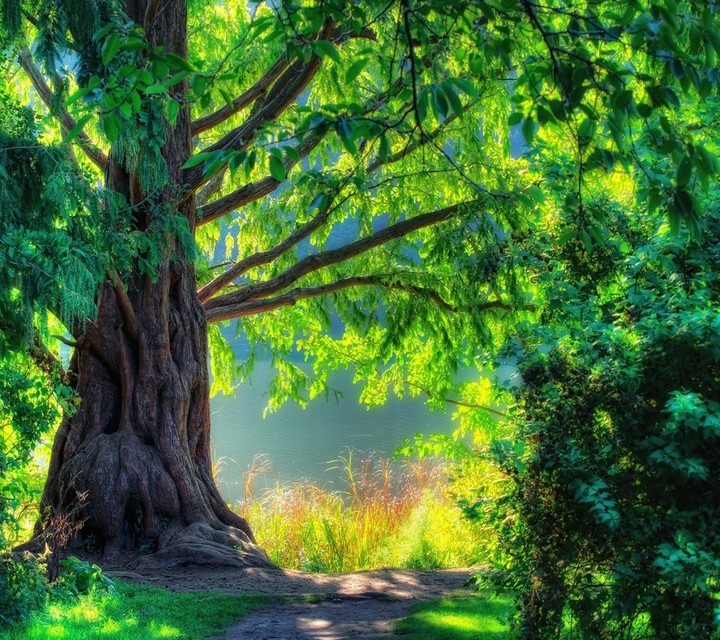 Nice quiet spot