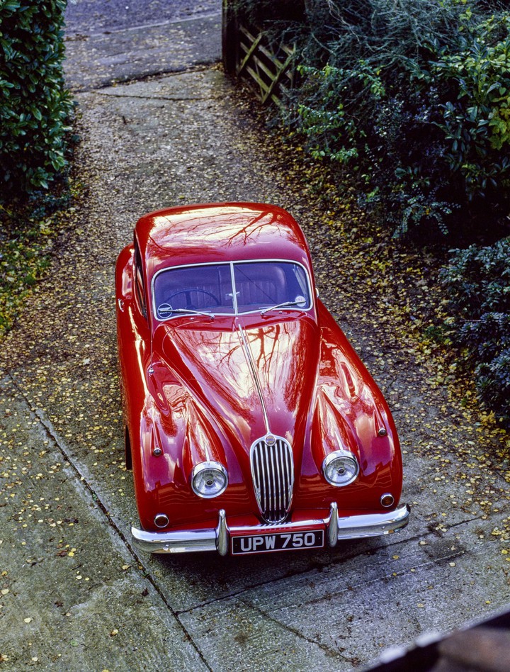 jaguar