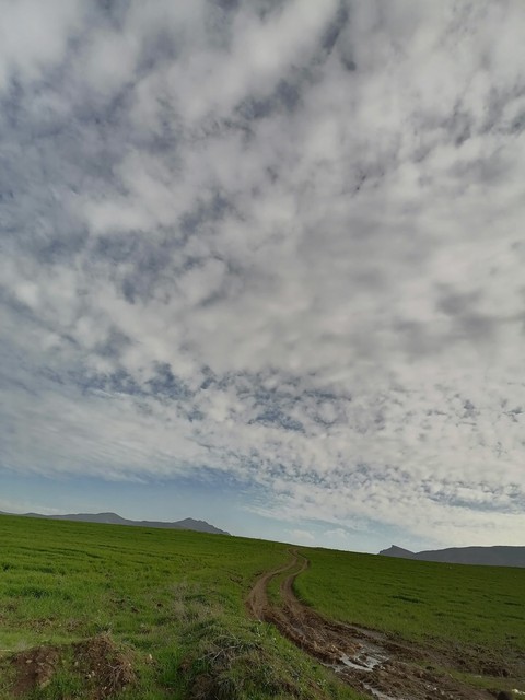 kurdstan