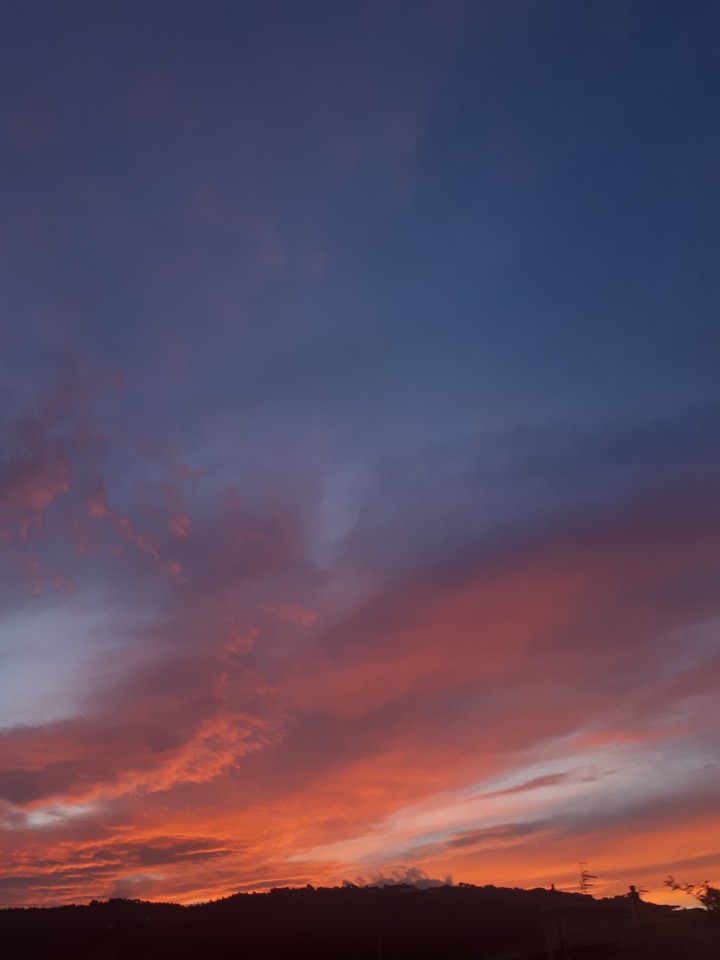 orange sky