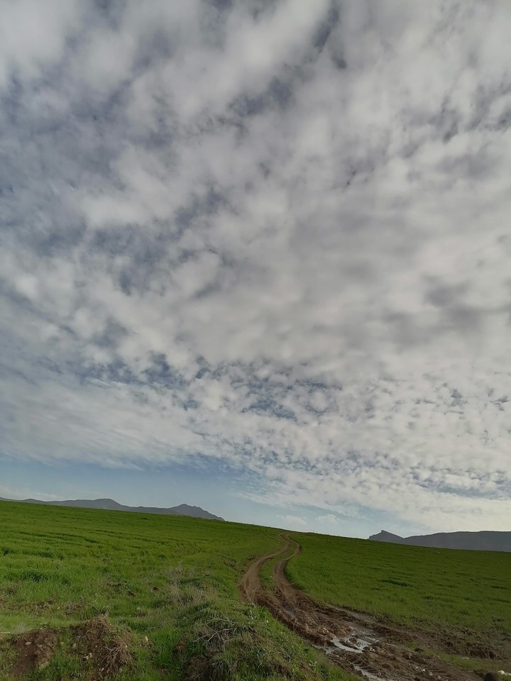 kurdstan