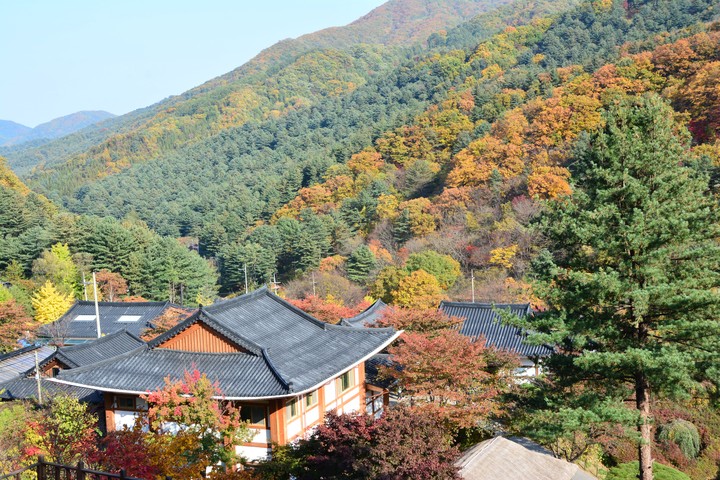 수목원이미지