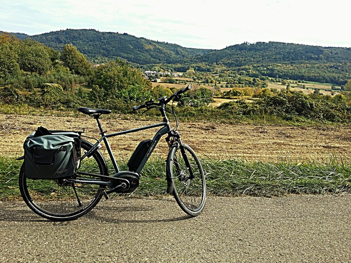 Biking through the fields - Friesenheim - Germany