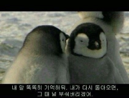 ㅋㅋㅋㅋㅋㅋ