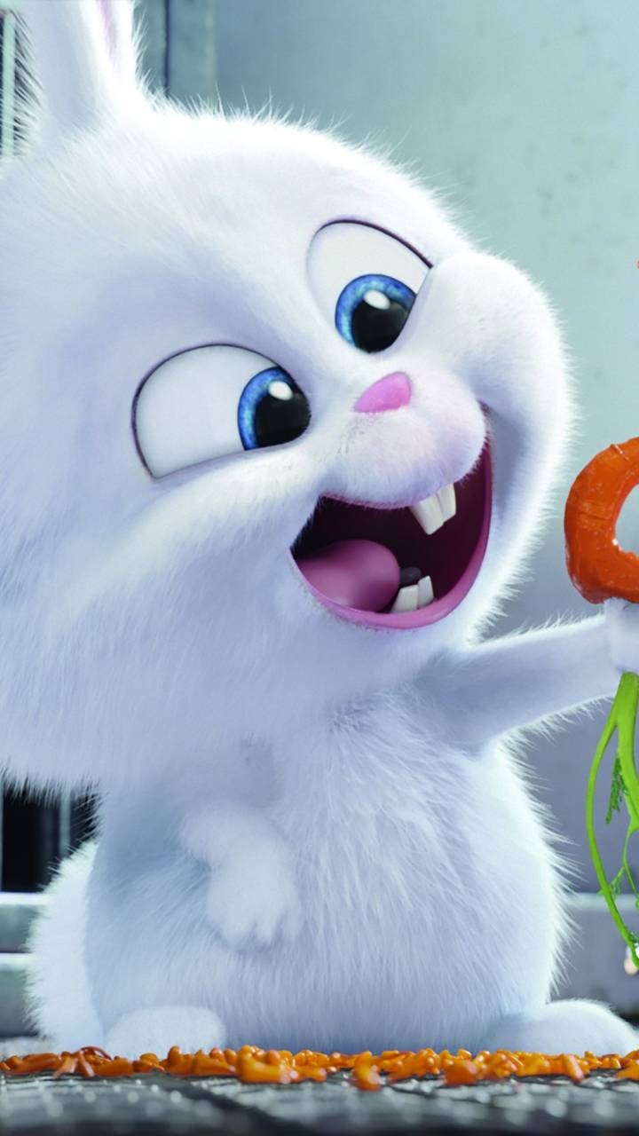bunny
