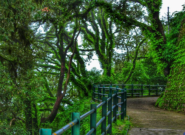 nature love vbv_photography