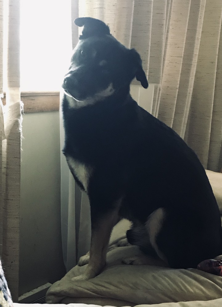 Waiting on his person