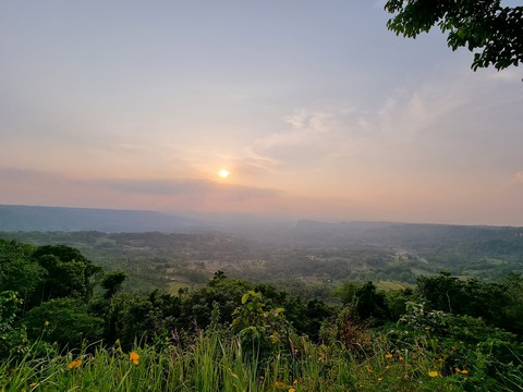 overview