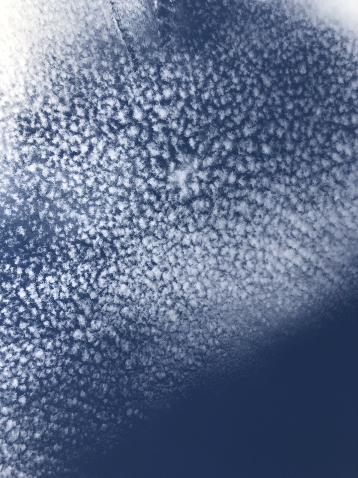 空