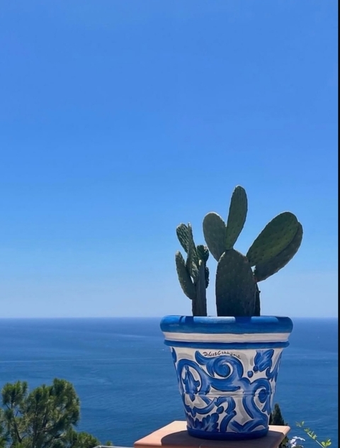 sfondi tropics, ocean