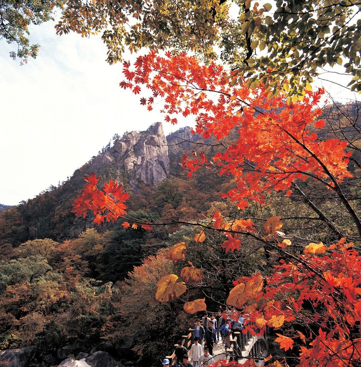 Autumn;Late summer