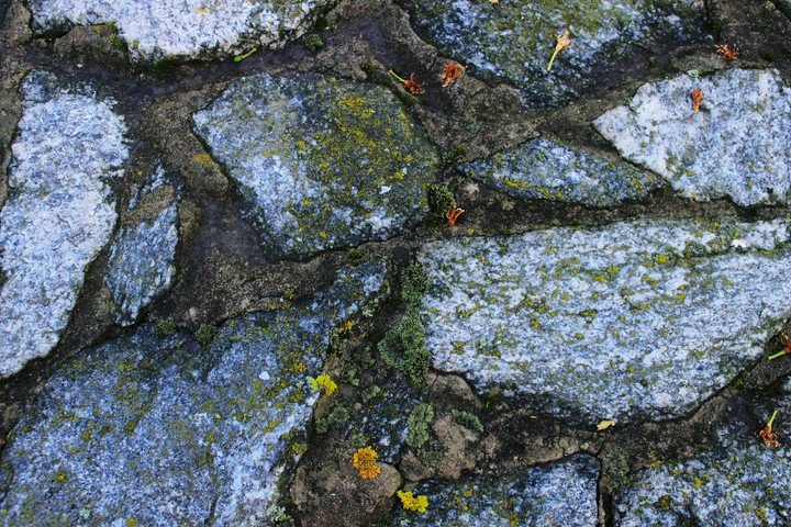 Stone