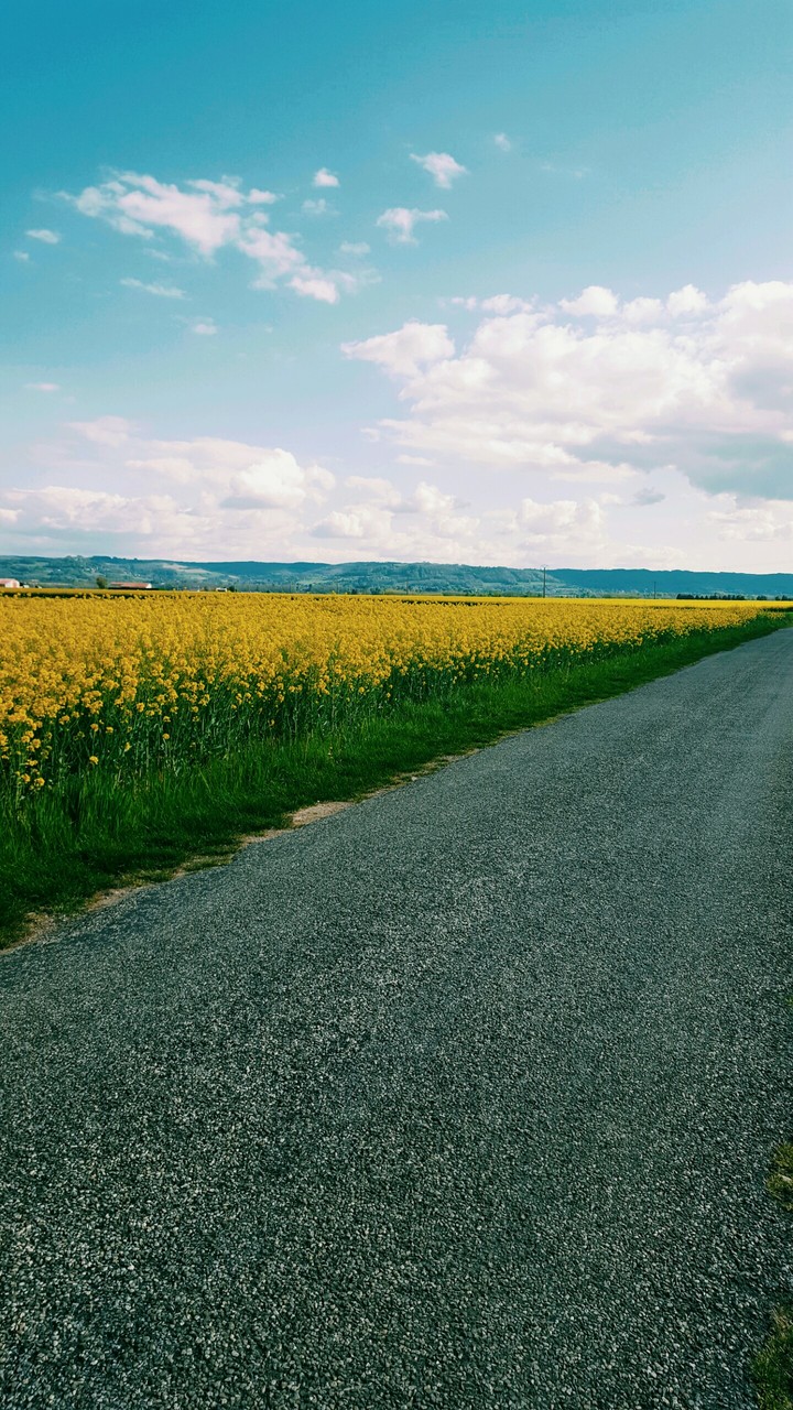 Somewhere in France 