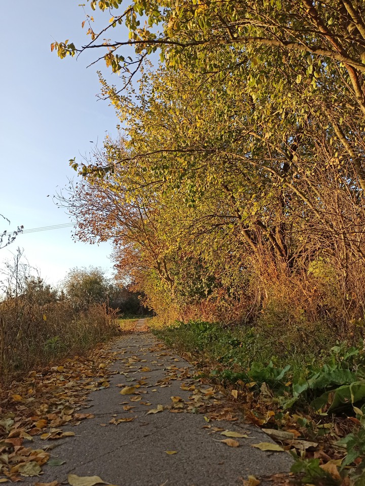 village