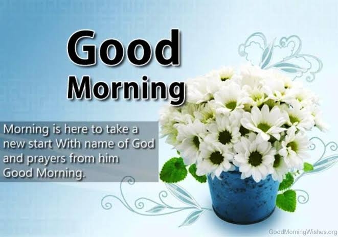 good morning