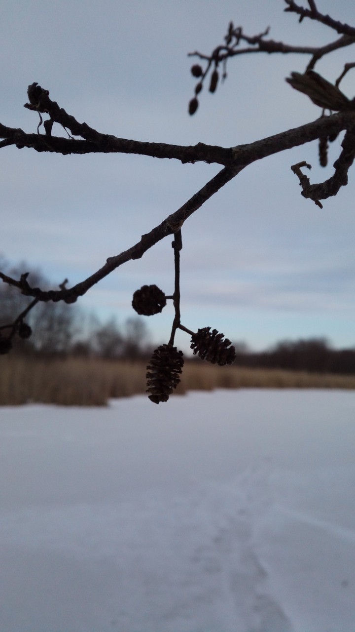 winter