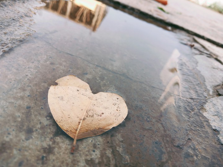 love