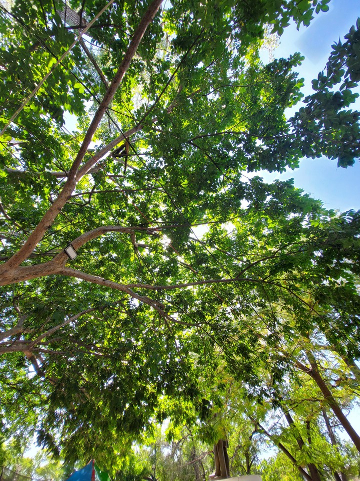 Naturaleza