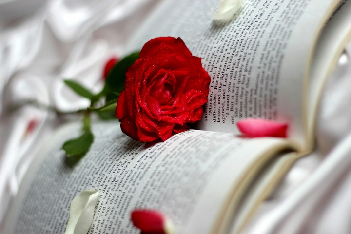rose and book