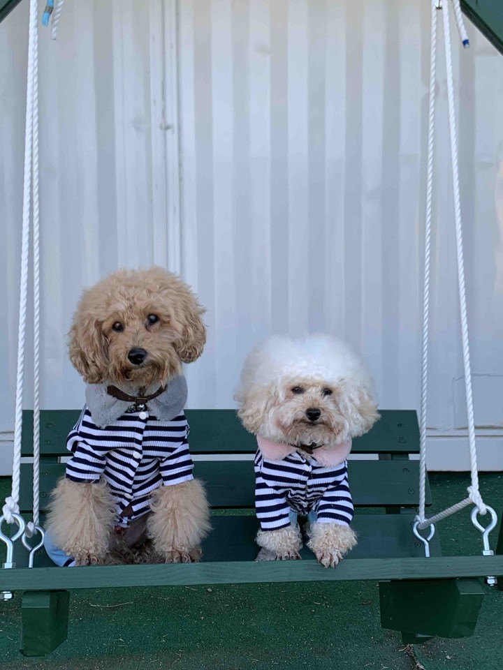 Lucky & Money