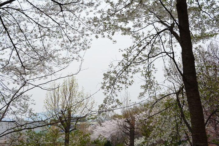 풍경이미지